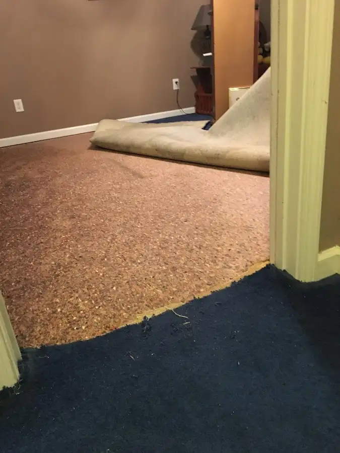 Carpet pad removal revealing water damage during Drying & Dehumidification in La Habra